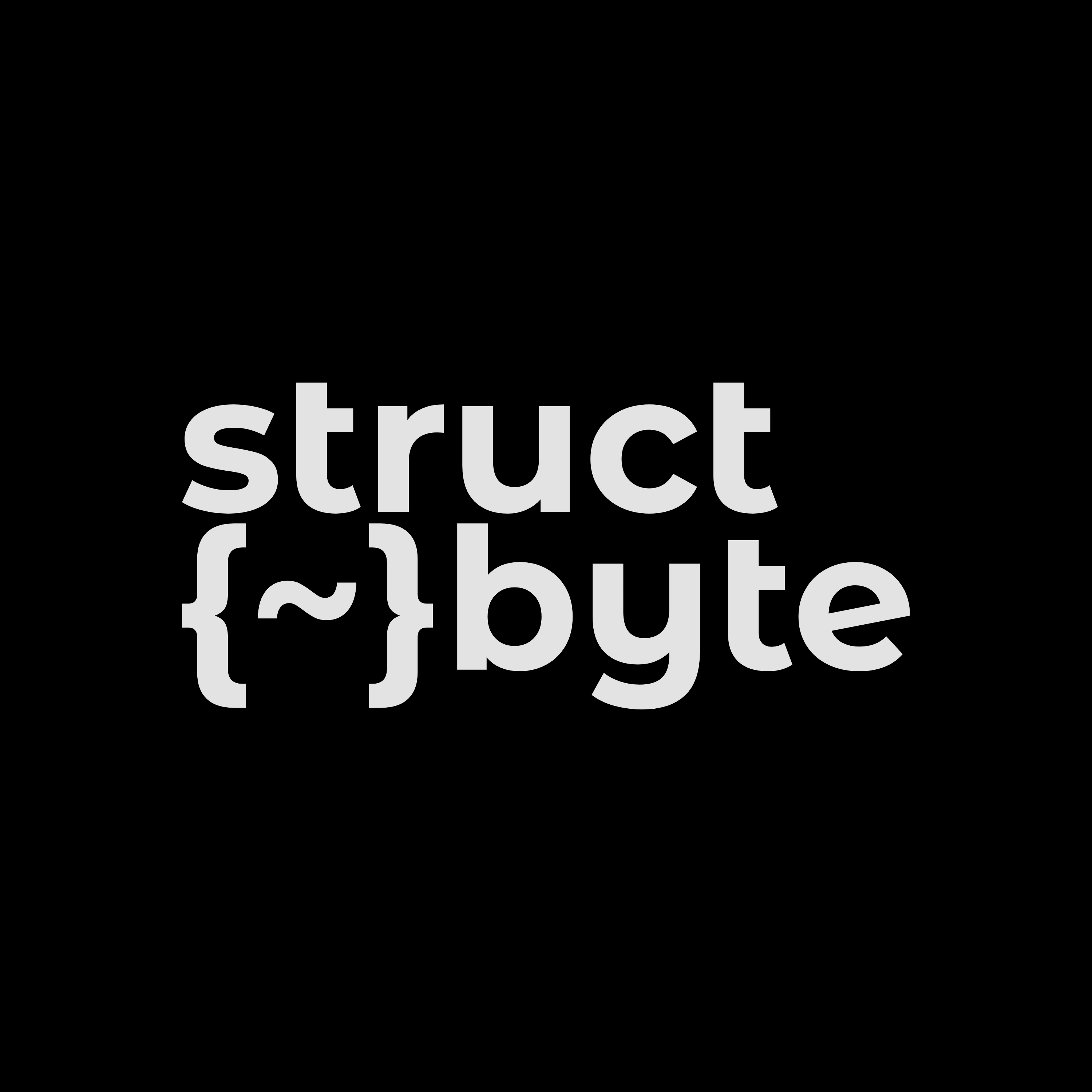 StructByte Logo